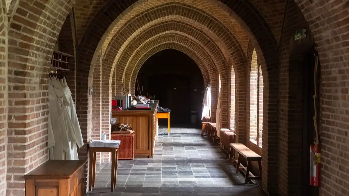 Foto de Jan van der Wolf (Pexels)