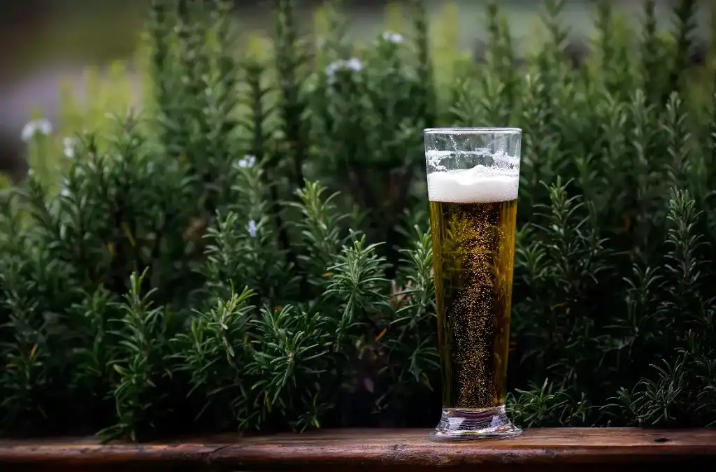 Copo Stange alto e estreito com Kölsch dourada clara, sobre madeira ao ar livre
