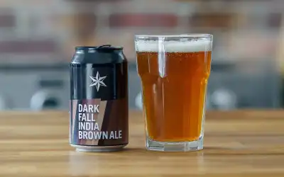 Copo de cerveja Stout preta opaca com colarinho cremoso bege